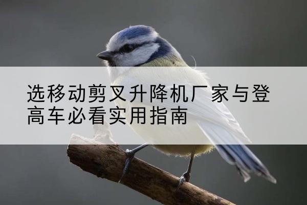 田阳电动升降机厂家-选移动剪叉升降机厂家与登高车必看实用指南
