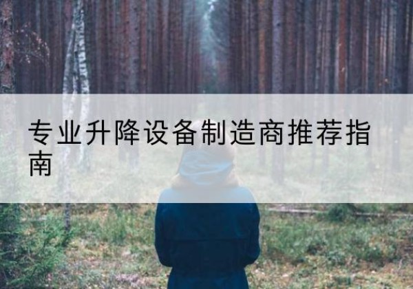 田阳电动剪叉升降平台厂家-专业升降设备制造商推荐指南