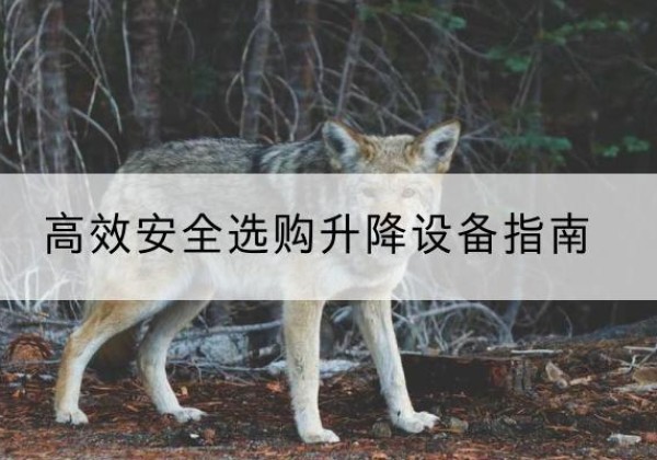 田阳升降货梯厂家推荐-*安全选购升降设备指南